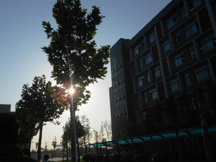 河南财经政法大学科研机构