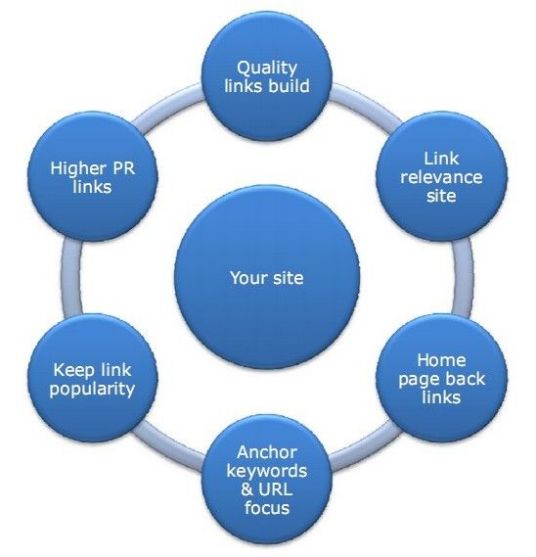 网络研究内容简介