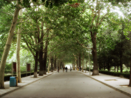 北京语言大学教学建设