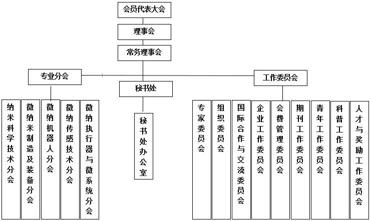 中国微米纳米技术学会机构设置