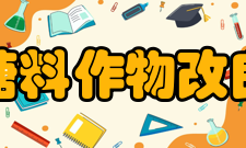 国家糖料作物改良中心项目筹建1998年