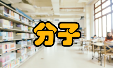 超分子结构与材料国家重点实验室（吉林大学）科研团队