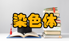 染色体工程发展染色体工程一词