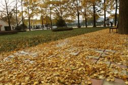 四川农业大学都江堰校区学科建设