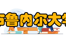 布鲁内尔大学住宿信息一年级的新生只要愿意