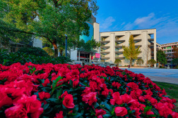 平阳县第二中学学校概况