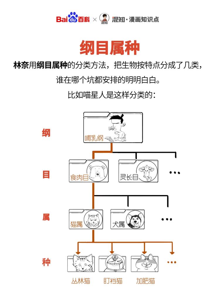 自然系统发展研究