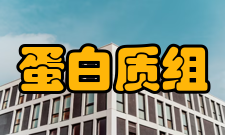 蛋白质组研究复杂的关系网络