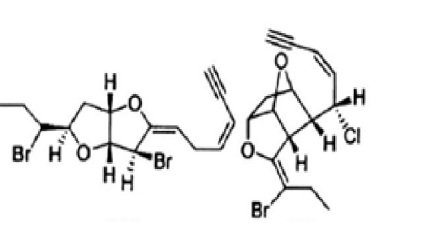 海洋生物毒素石房蛤毒素