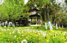 安徽林业职业技术学院教学建设