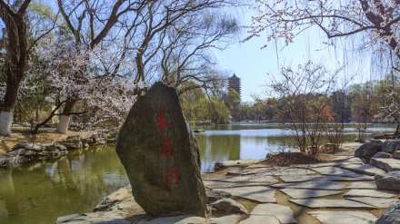 北京大学学术论坛