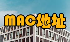 MAC地址与IP地址区别