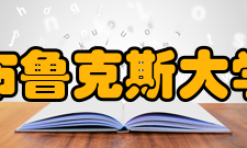 牛津布鲁克斯大学