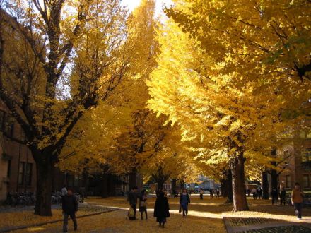 东京大学科研概况