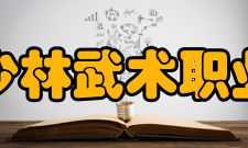 嵩山少林武术职业学院教学建设