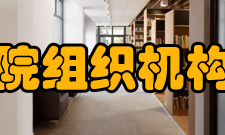 郑州大学文学院组织机构