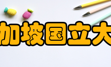 新加坡国立大学科研成果科研概况