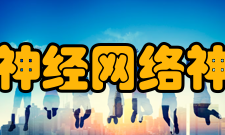 人工神经网络神经元