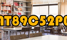 AT89C52P0 口P0 口是一组8 位漏极开路型双向I/