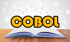 COBOL语言组成