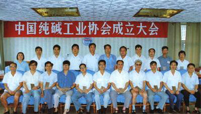 中国纯碱工业协会组织章程