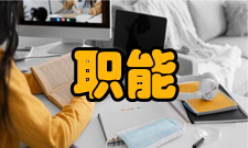 职能管理主要特点