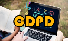CDPD结构