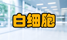 白细胞减少症检查