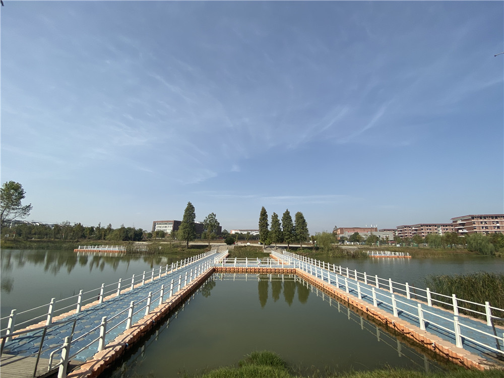 宜春幼儿师范高等专科学校学术资源