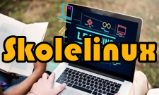 Skolelinux计划方案