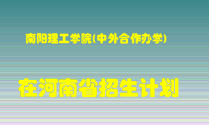 南阳理工学院(中外合作办学)在河南招生计划录取人数