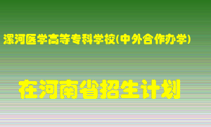 漯河医学高等专科学校(中外合作办学)在河南招生计划录取人数