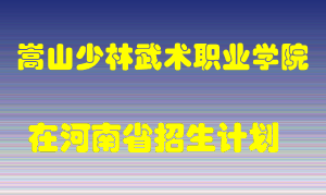 嵩山少林武术职业学院在河南招生计划录取人数