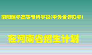 南阳医学高等专科学校(中外合作办学)在河南招生计划录取人数