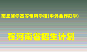 商丘医学高等专科学校(中外合作办学)在河南招生计划录取人数