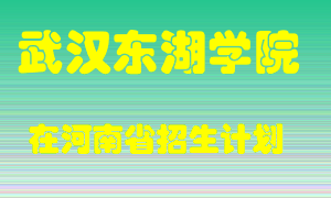 武汉东湖学院在河南招生计划录取人数