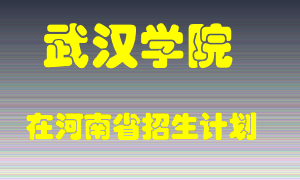 武汉学院在河南招生计划录取人数