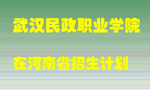 武汉民政职业学院在河南招生计划录取人数