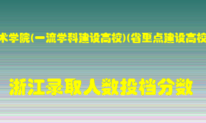 中国美术学院2021年在浙江招生计划录取人数投档分数线