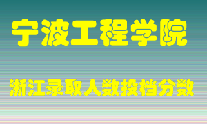 宁波工程学院2021年在浙江招生计划录取人数投档分数线