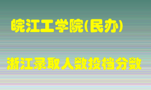 皖江工学院2021年在浙江招生计划录取人数投档分数线