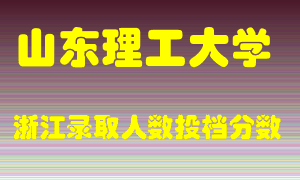 山东理工大学2021年在浙江招生计划录取人数投档分数线