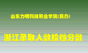 山东力明科技职业学院2021年在浙江招生计划录取人数投档分数线