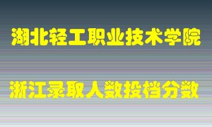 湖北轻工职业技术学院2021年在浙江招生计划录取人数投档分数线