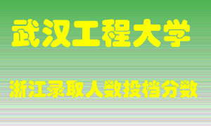 武汉工程大学2021年在浙江招生计划录取人数投档分数线