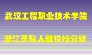 武汉工程职业技术学院2021年在浙江招生计划录取人数投档分数线