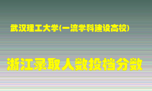 武汉理工大学2021年在浙江招生计划录取人数投档分数线