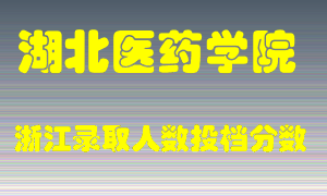 湖北医药学院2021年在浙江招生计划录取人数投档分数线