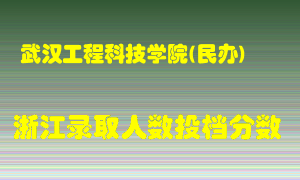 武汉工程科技学院2021年在浙江招生计划录取人数投档分数线