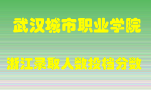 武汉城市职业学院2021年在浙江招生计划录取人数投档分数线